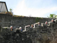 wall