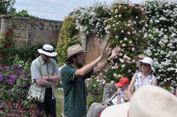 rose garden