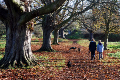 stationmoor